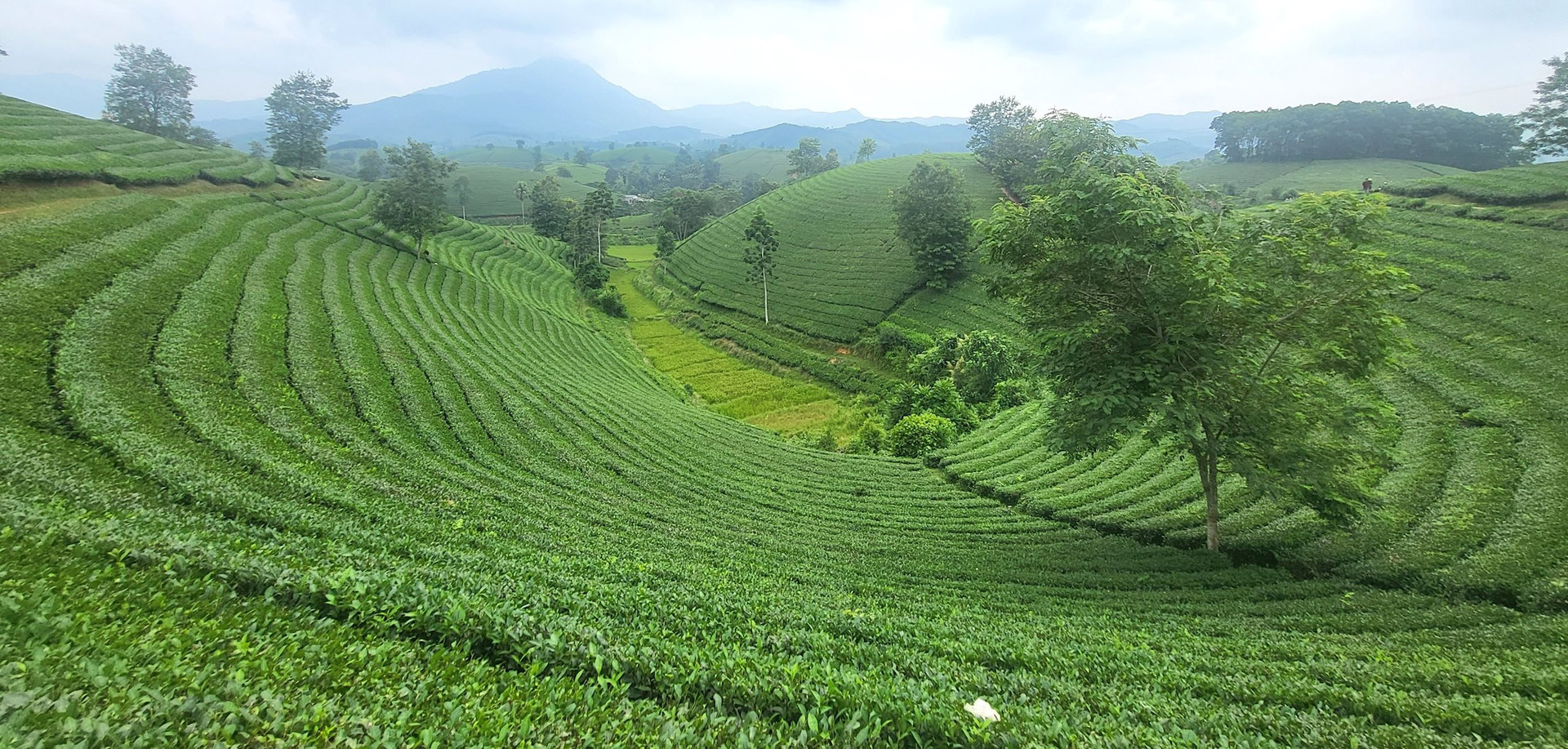 Du lịch Phú Thọ 